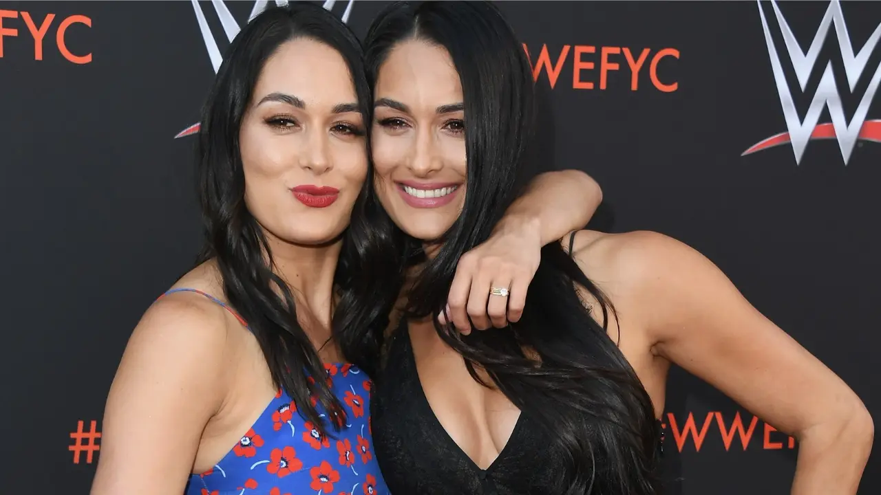 Nikki and Brie Bella A Tale of Twin Powerhouses in the World of Wrestling